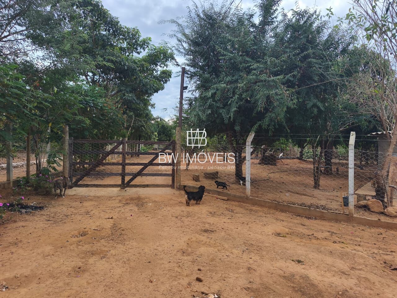 Chácara, 3 quartos, 10000 m² - Foto 28