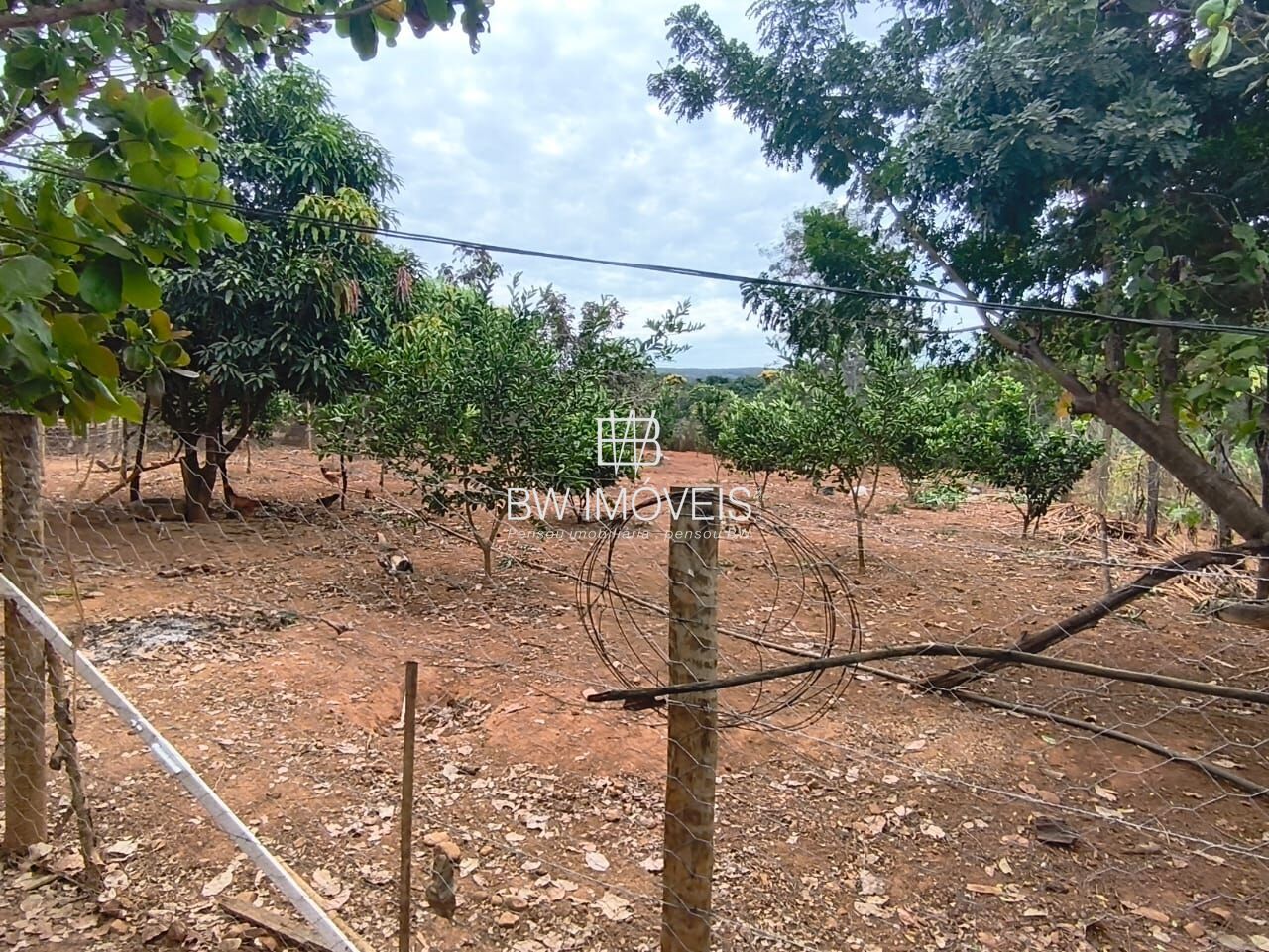 Chácara, 3 quartos, 10000 m² - Foto 24