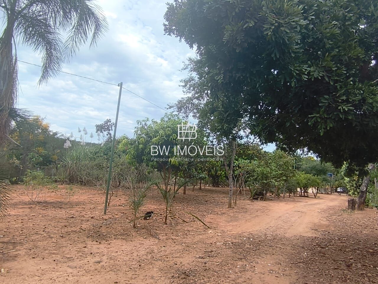 Chácara, 3 quartos, 10000 m² - Foto 11