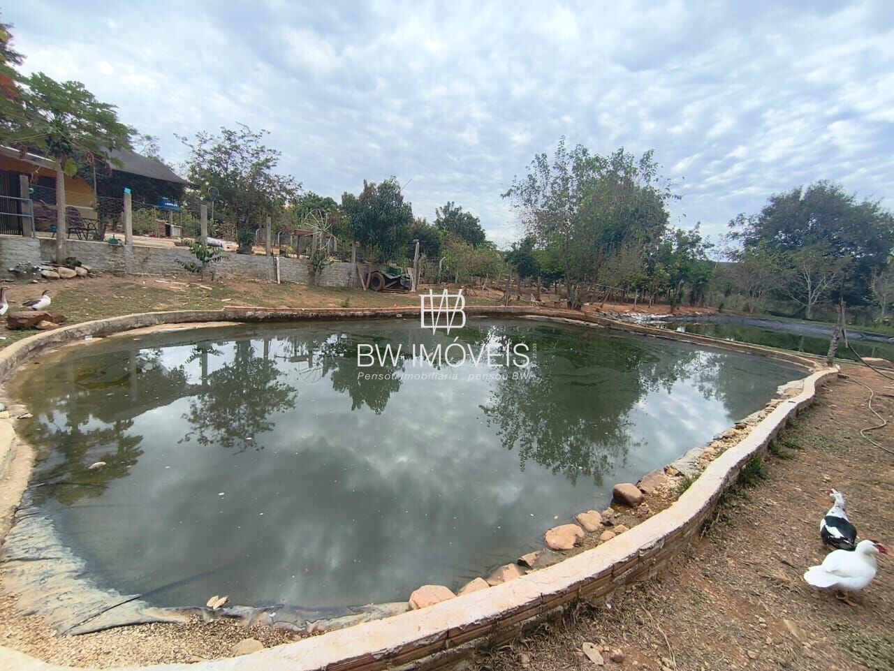 Chácara, 3 quartos, 10000 m² - Foto 29