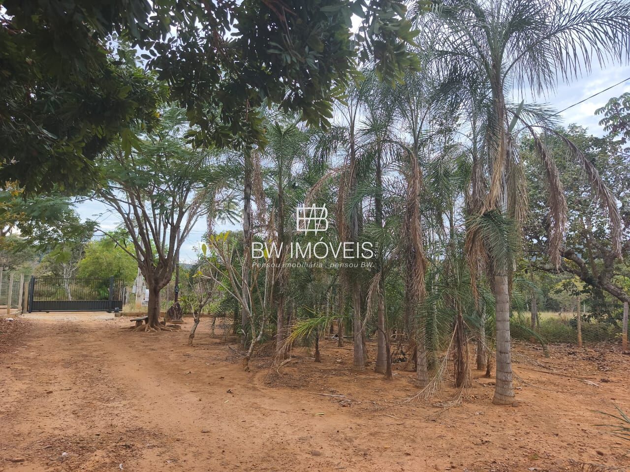 Chácara, 3 quartos, 10000 m² - Foto 15