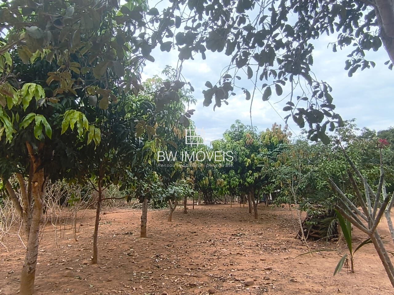 Chácara, 3 quartos, 10000 m² - Foto 7