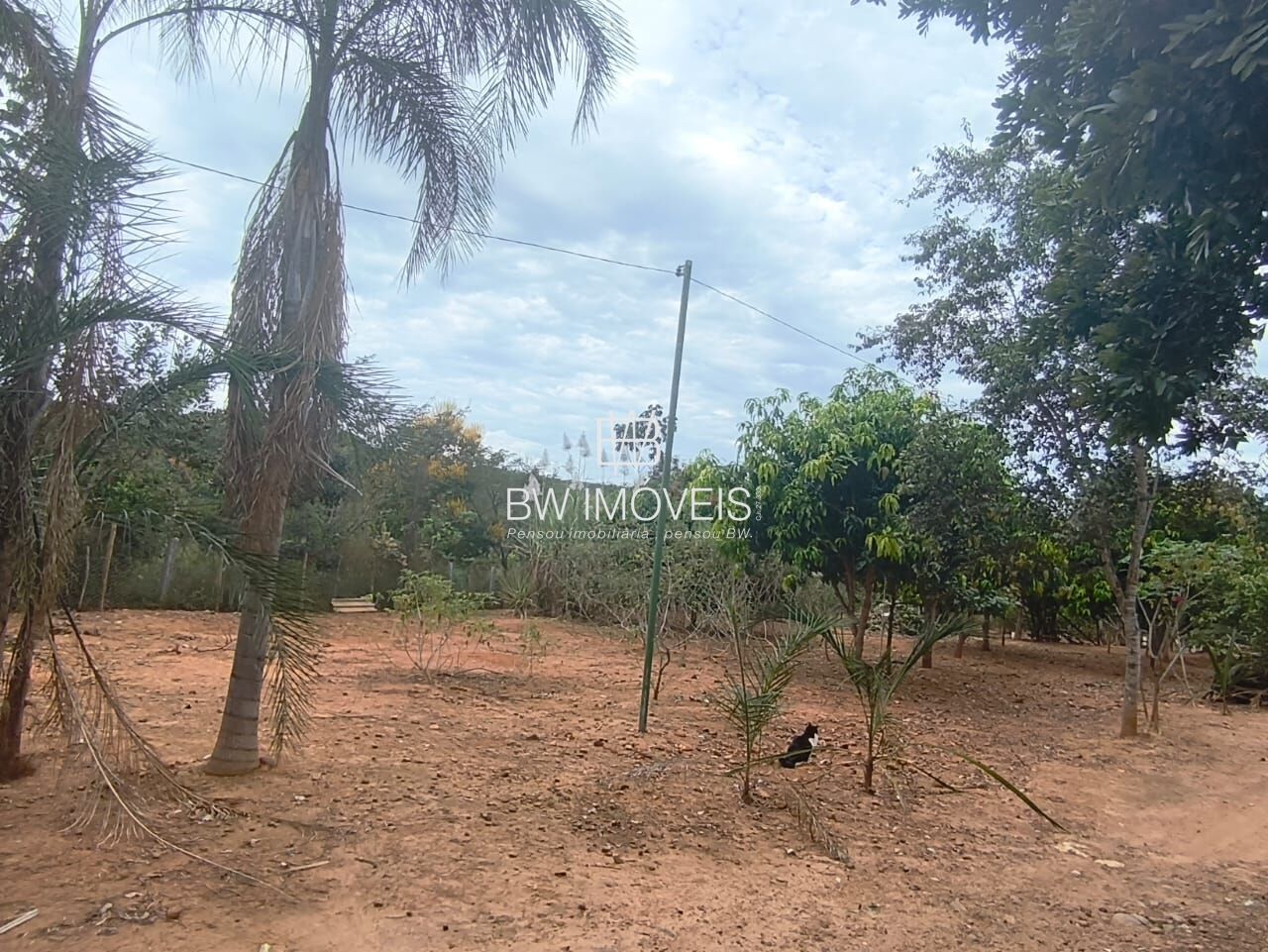 Chácara, 3 quartos, 10000 m² - Foto 6