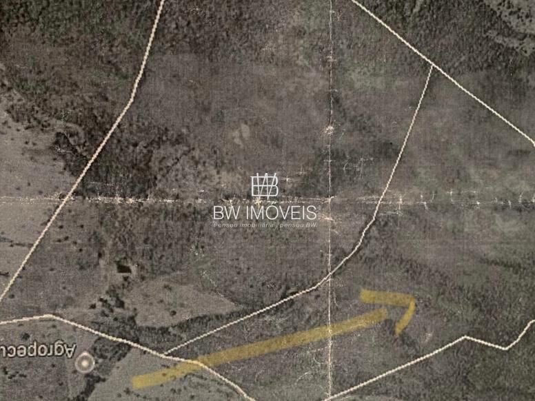 Fazenda, 82 hectares - Foto 31