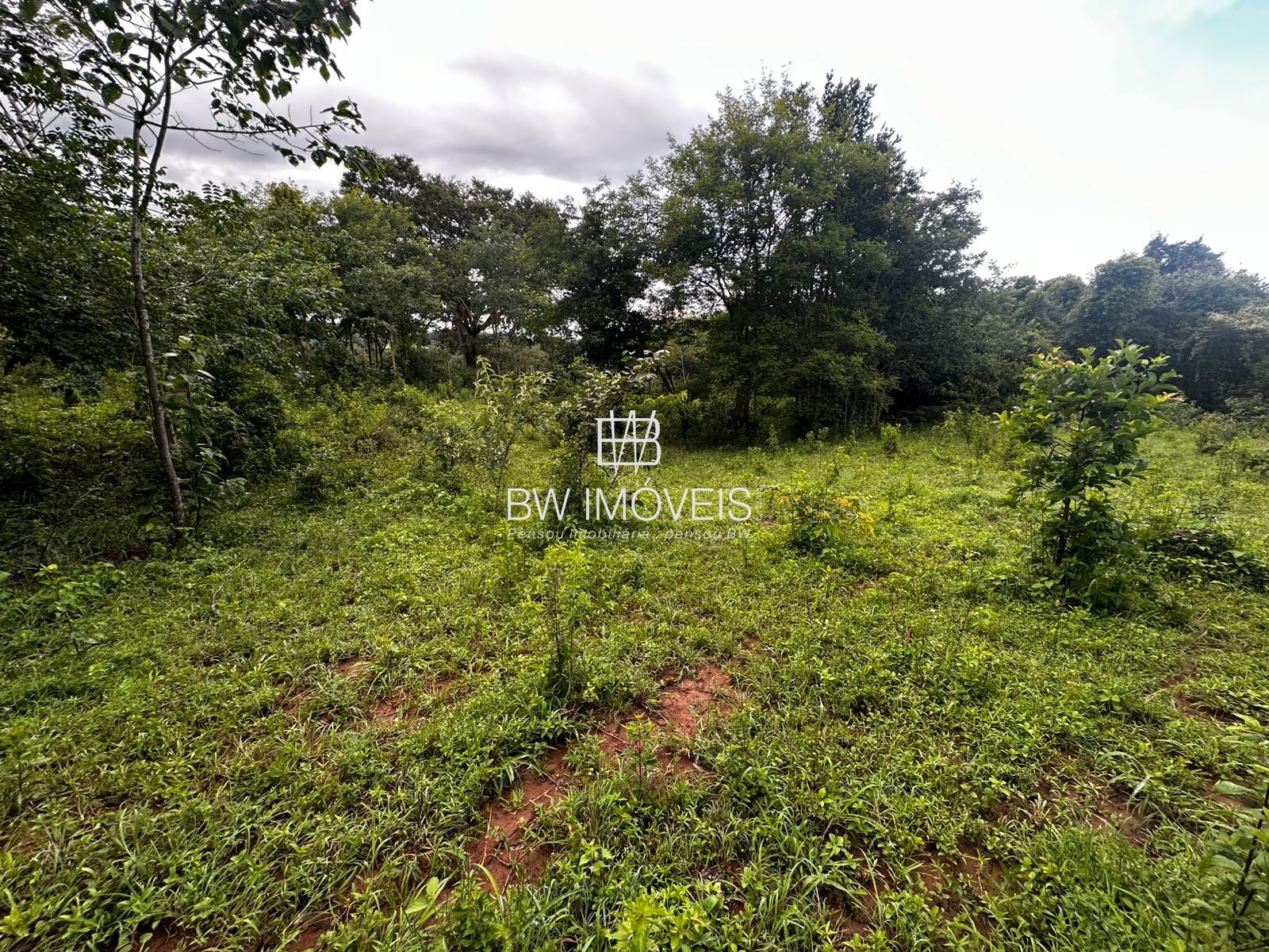 Fazenda, 82 hectares - Foto 25