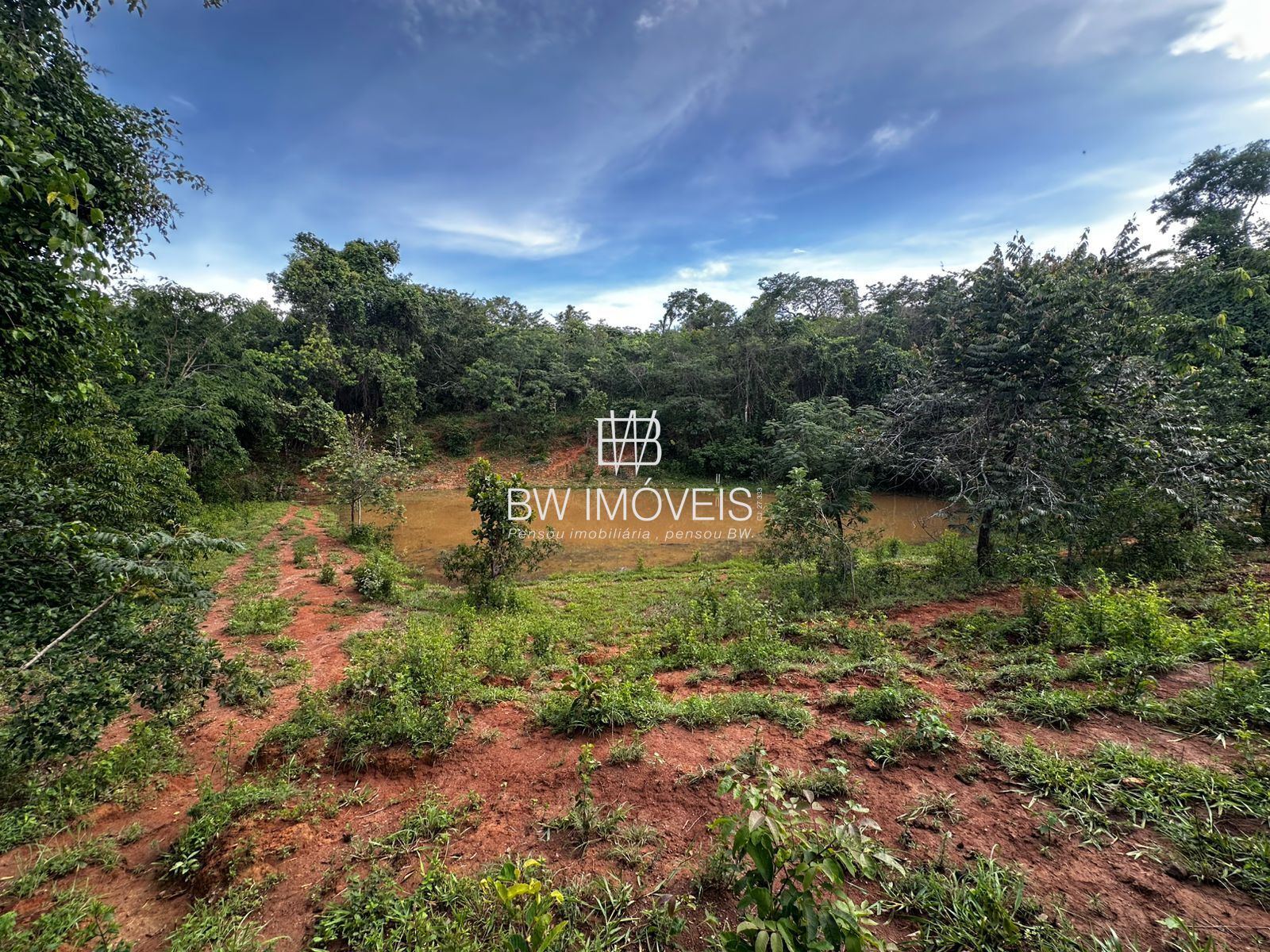Fazenda, 82 hectares - Foto 11