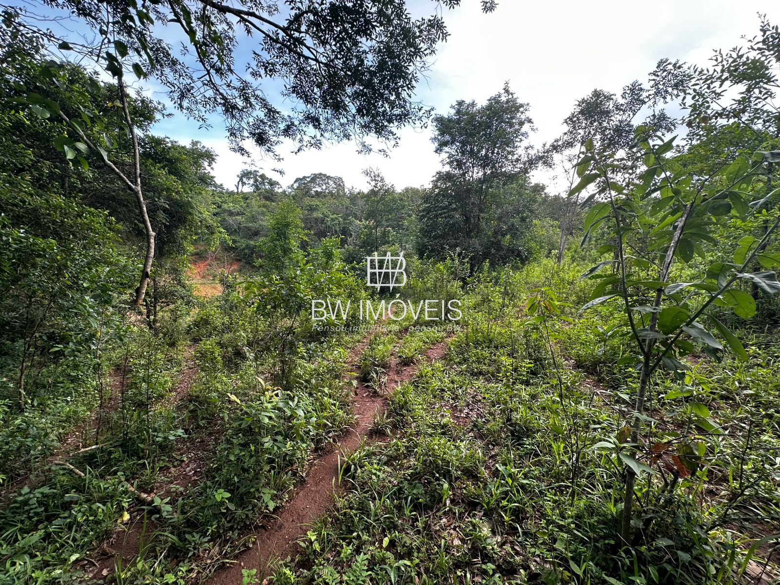 Fazenda, 82 hectares - Foto 10