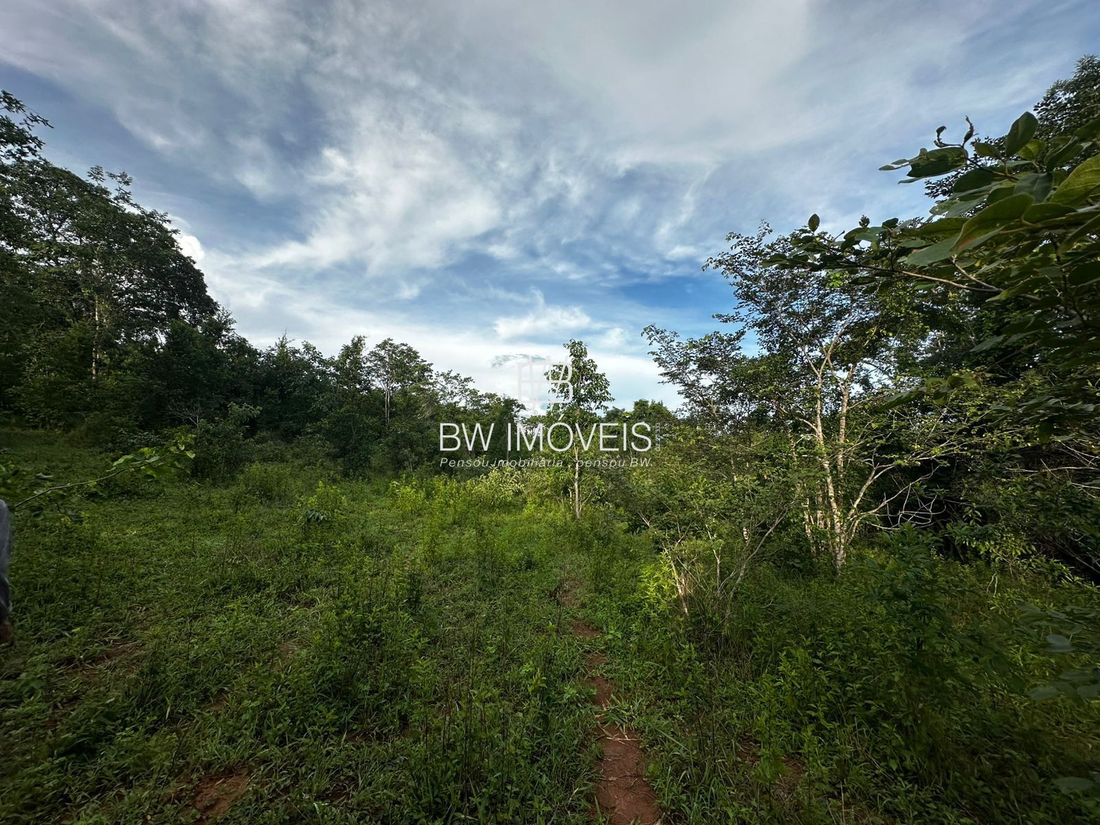 Fazenda, 82 hectares - Foto 20