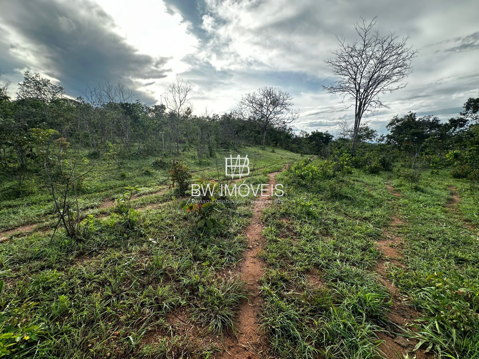 Fazenda, 82 hectares - Foto 8