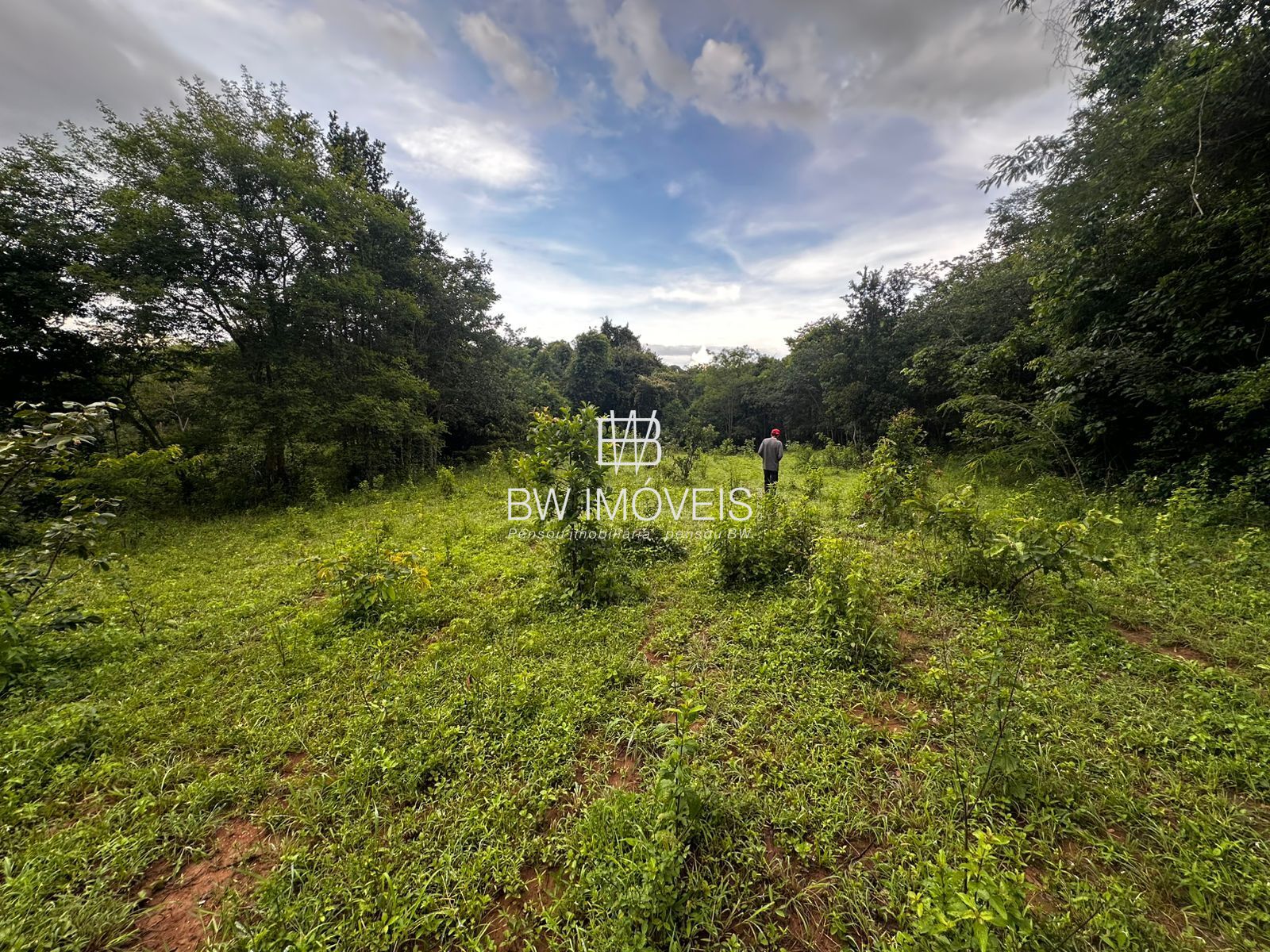 Fazenda, 82 hectares - Foto 26