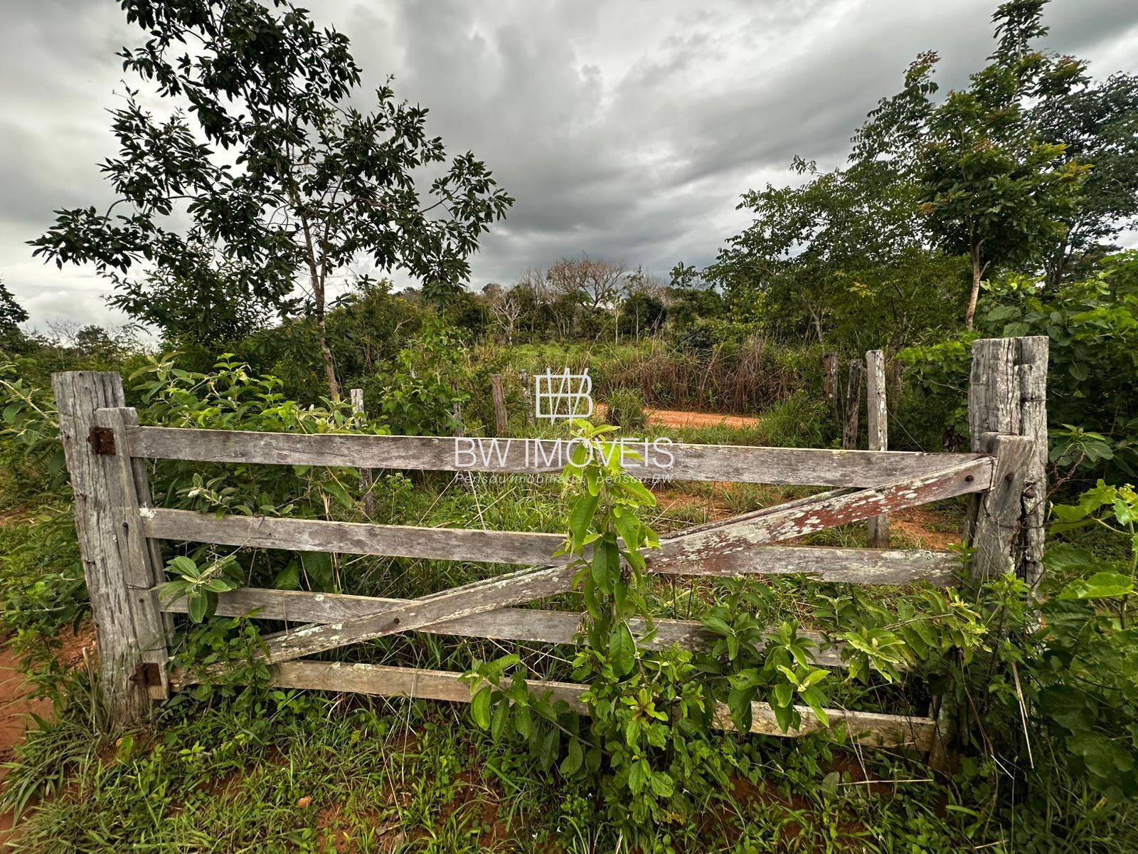 Fazenda, 82 hectares - Foto 30