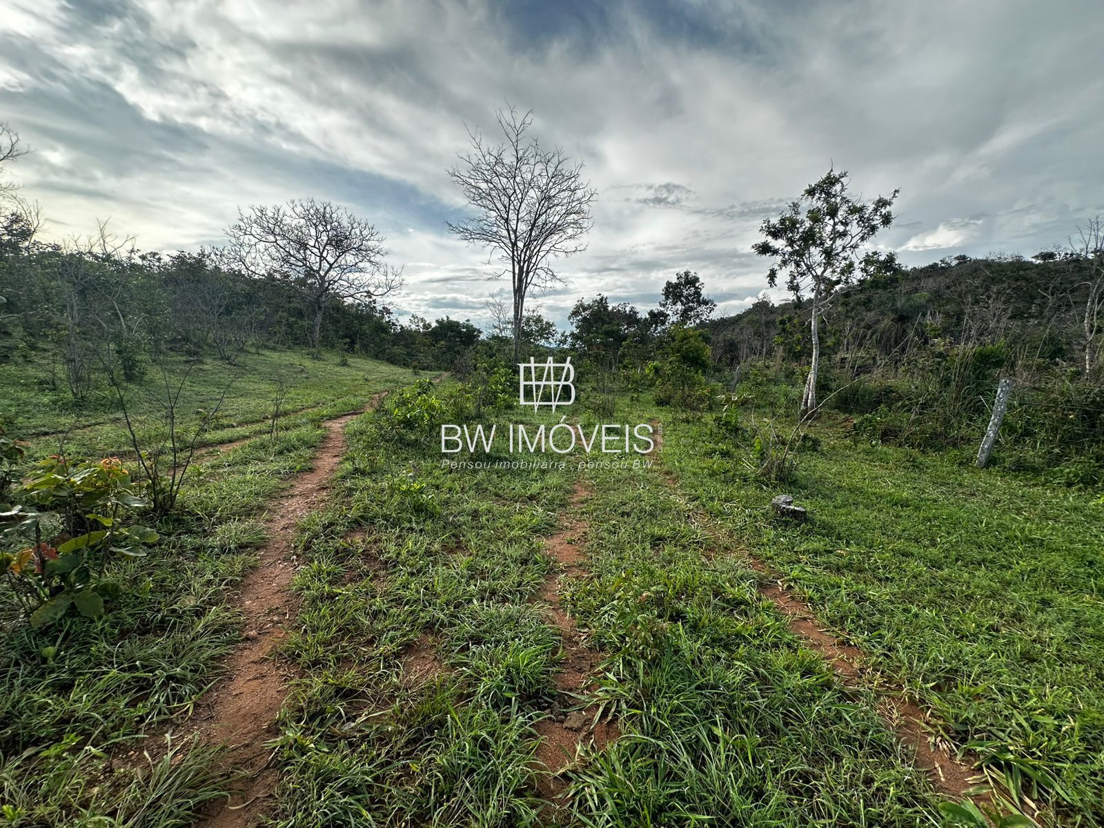Fazenda, 82 hectares - Foto 9