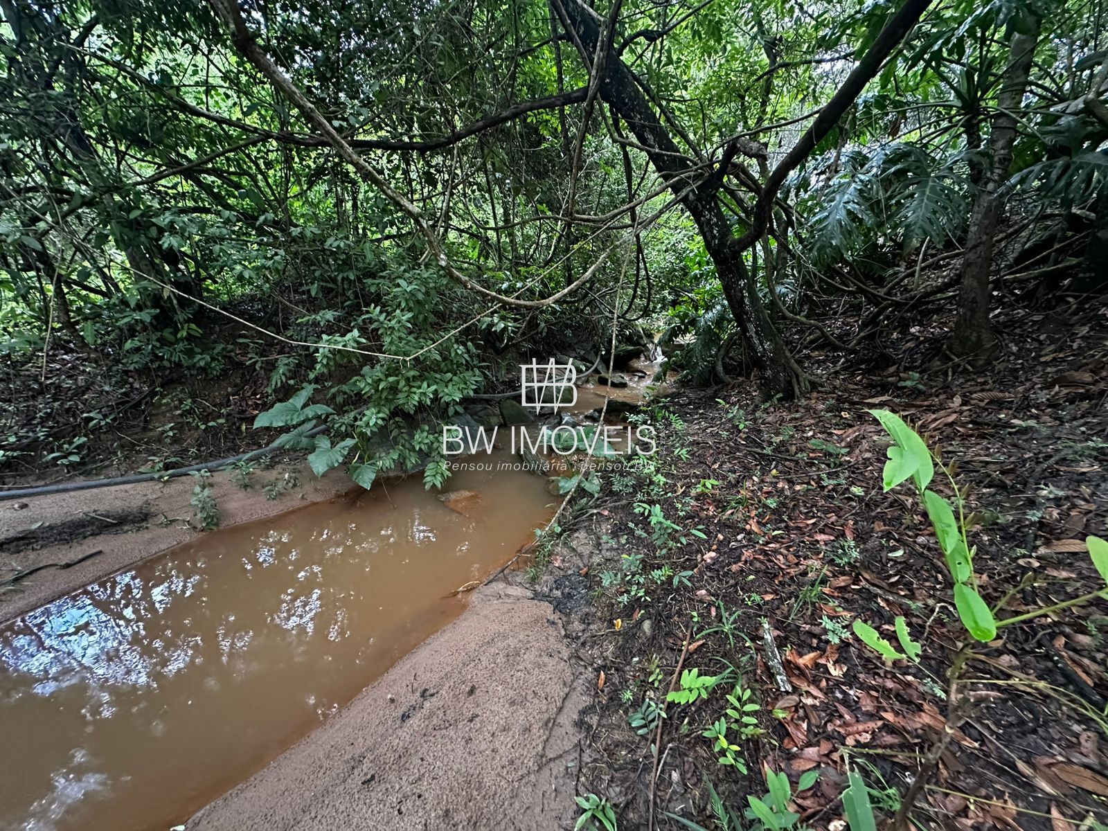 Fazenda, 82 hectares - Foto 29