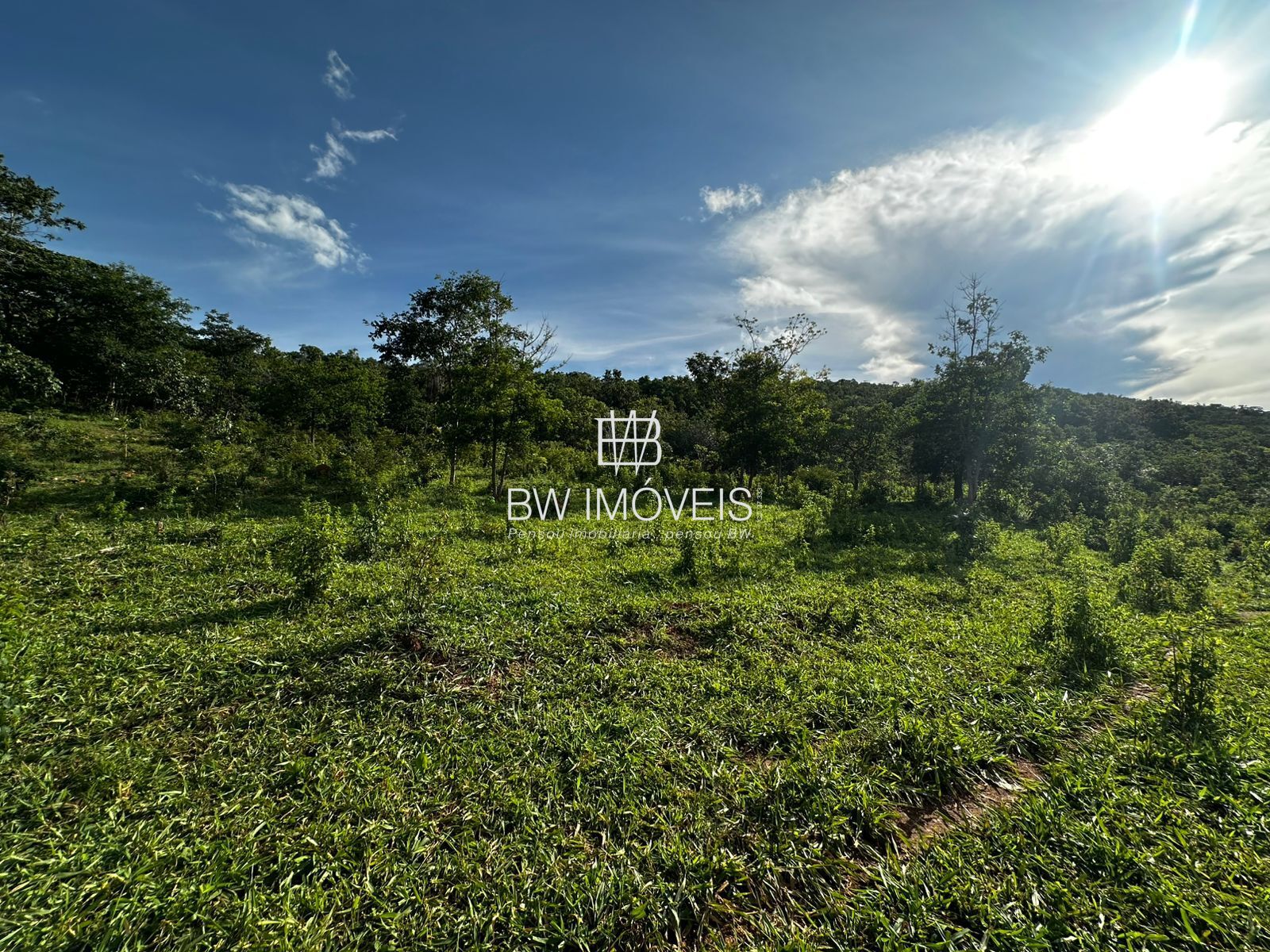 Fazenda, 82 hectares - Foto 7