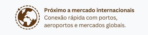 Imagem 4