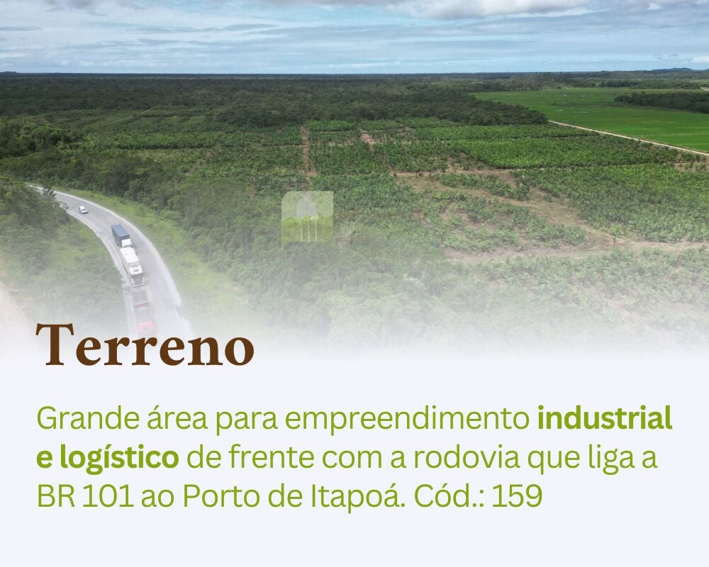 Imagem 3