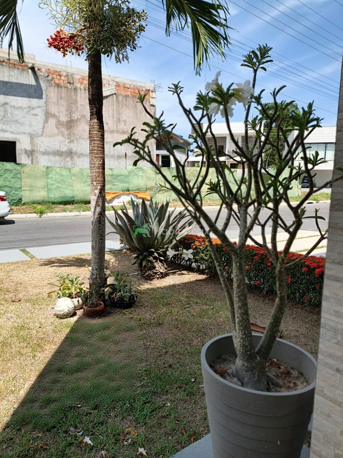 Casa, 3 quartos, 200 m² - Foto 8