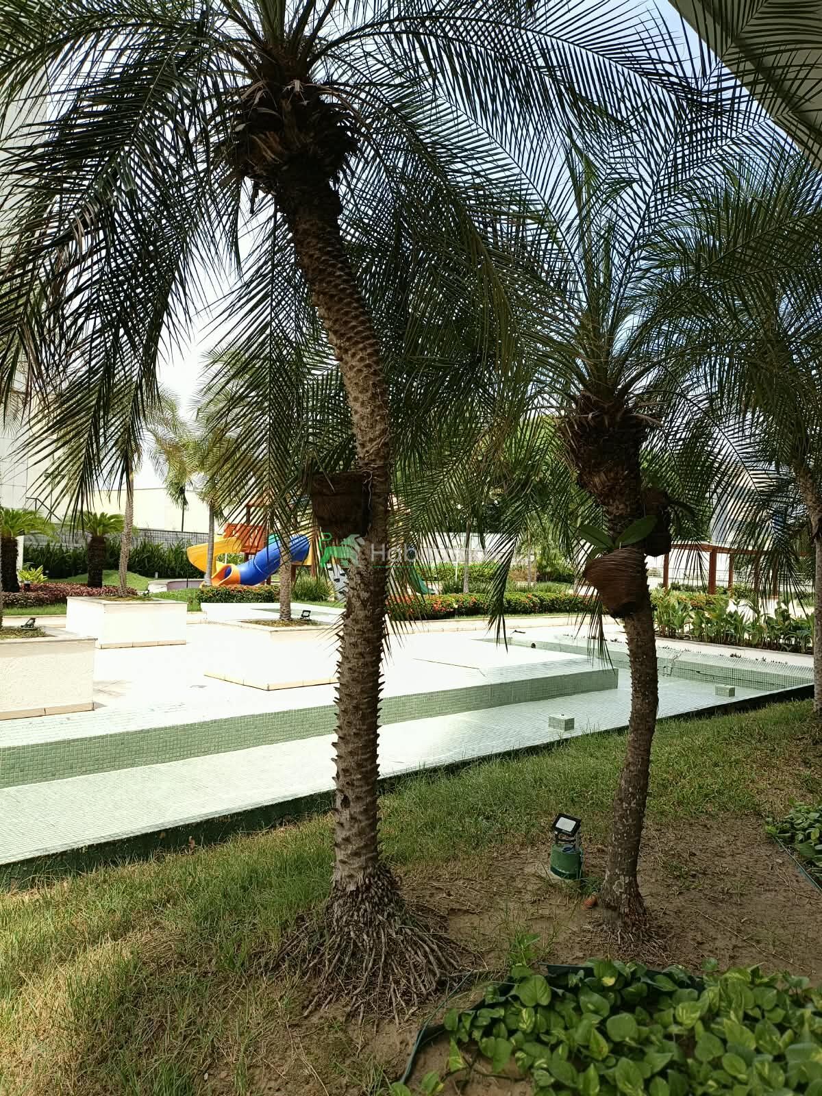 Apartamento, 4 quartos, 202 m² - Foto 18
