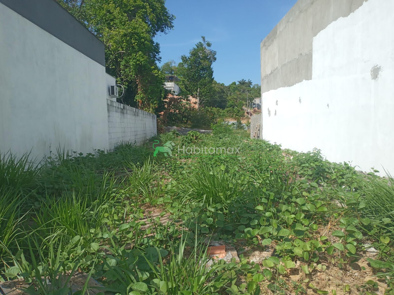 Terreno, 200 m² - Foto 1