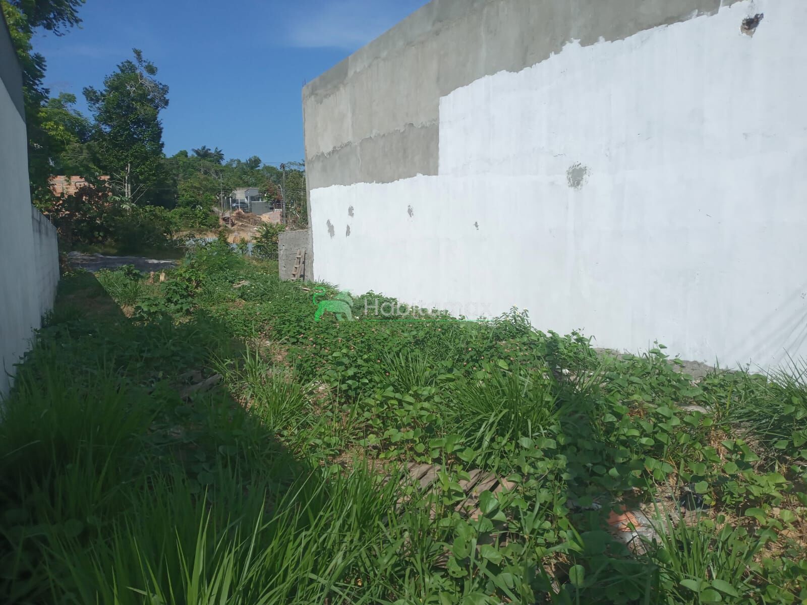 Terreno, 200 m² - Foto 3