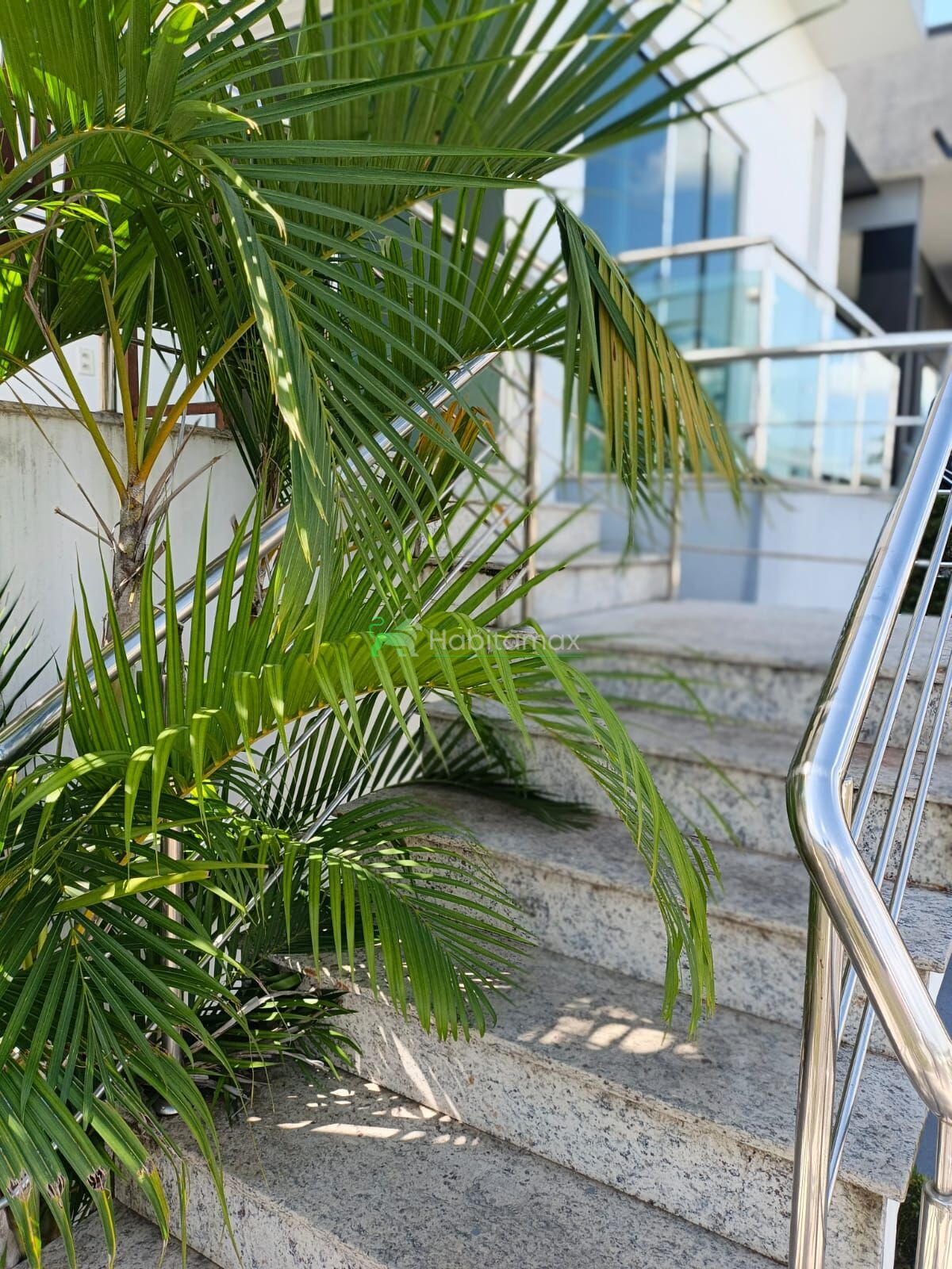Casa, 4 quartos, 202 m² - Foto 11