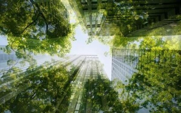Sustentabilidade no Setor Imobiliário: Práticas e Benefícios