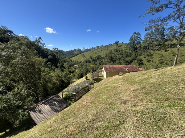 Quanto custa um sítio em Cunha? Entenda as faixas de preço e os principais fatores que influenciam o preço