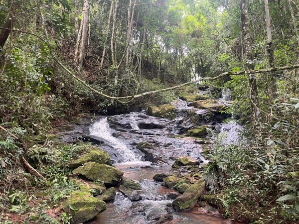 Documentação de imóvel rural em Cunha