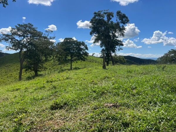 Qual o preço do alqueire em Cunha SP?