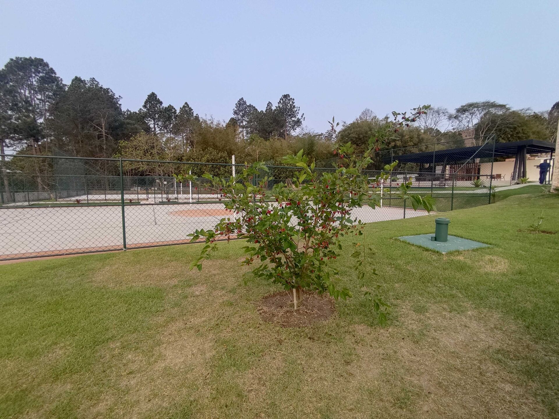 Terreno, 991 m² - Foto 10