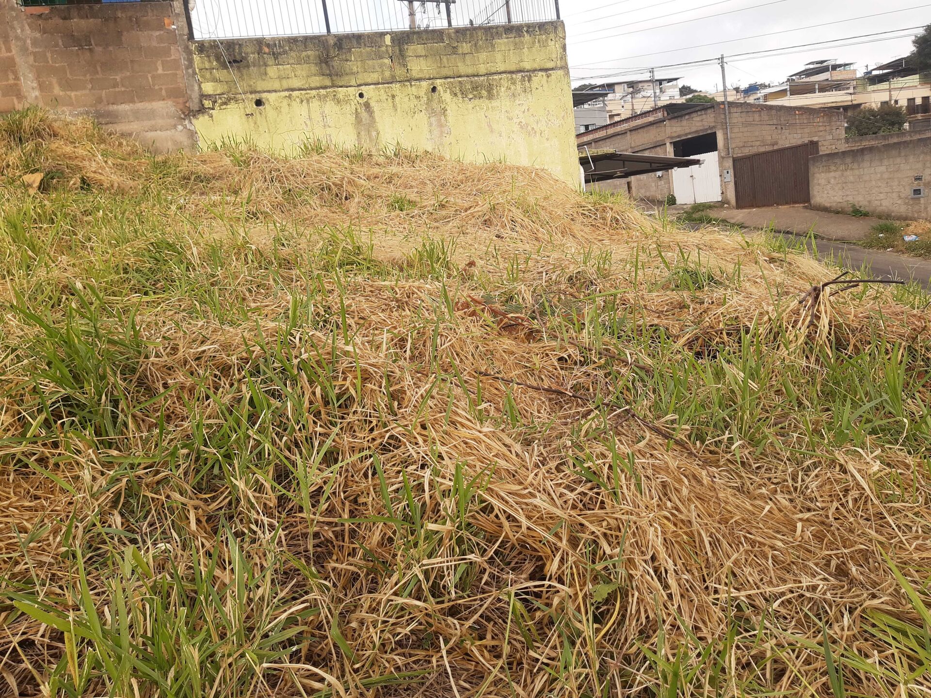 Terreno, 504 m² - Foto 9