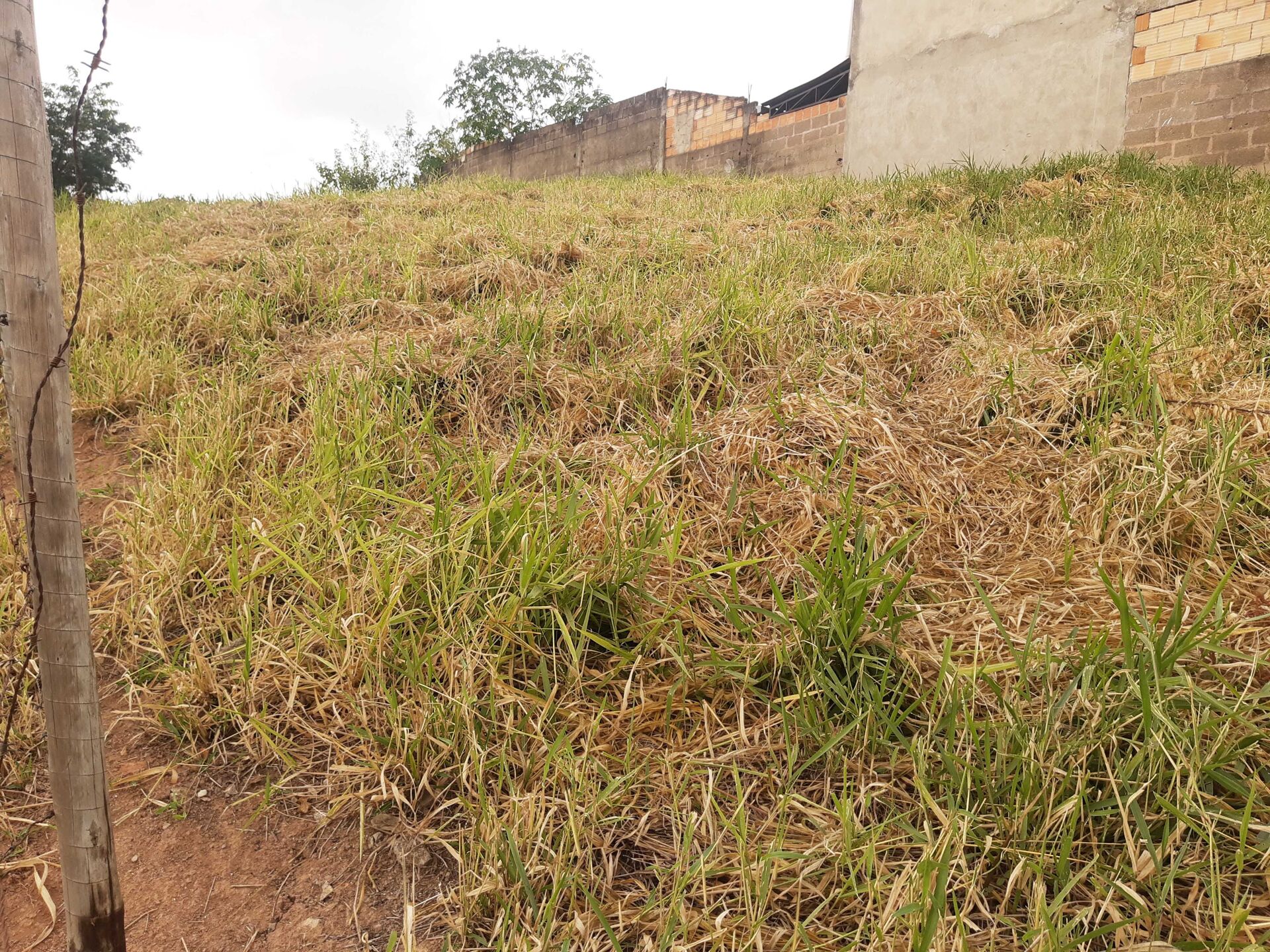 Terreno, 504 m² - Foto 8