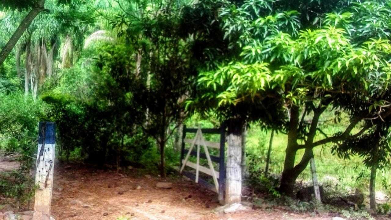 Chácara, 2 quartos, 100 m² - Foto 10