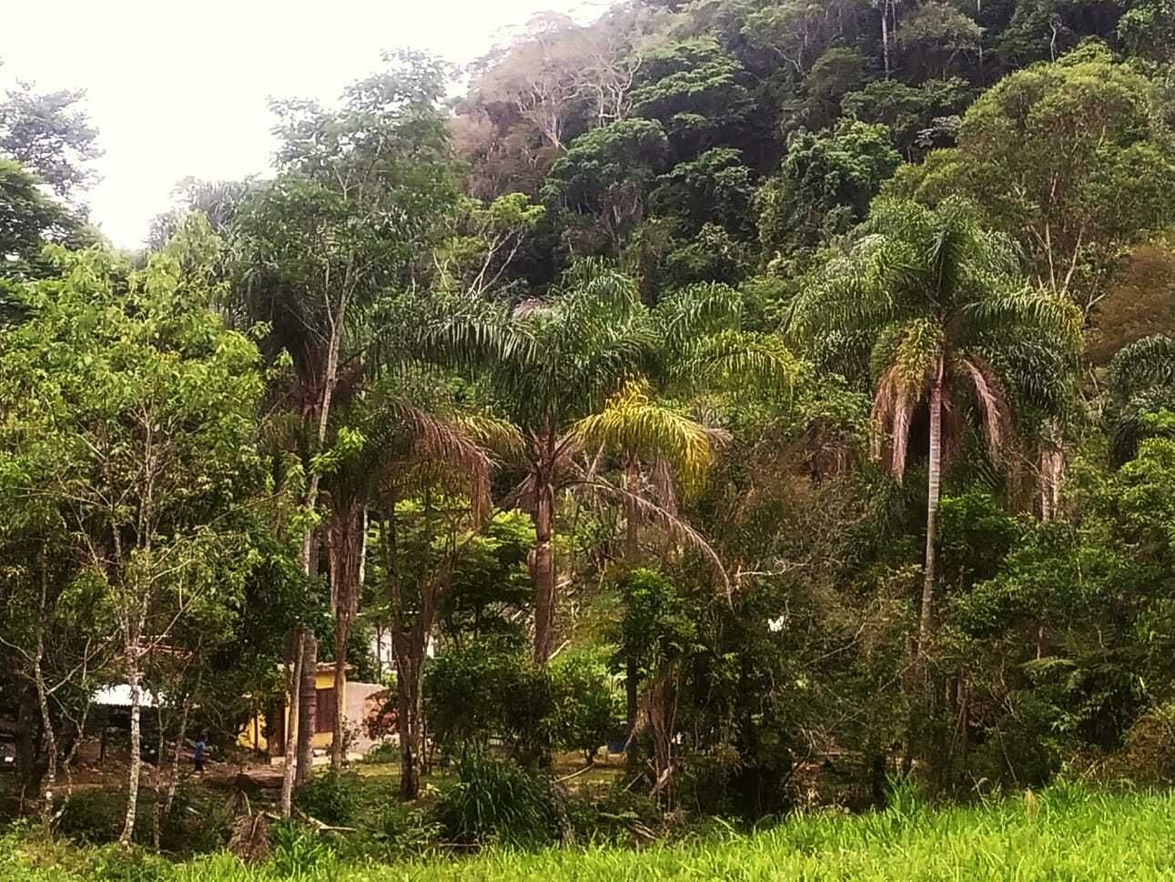 Chácara, 2 quartos, 100 m² - Foto 24