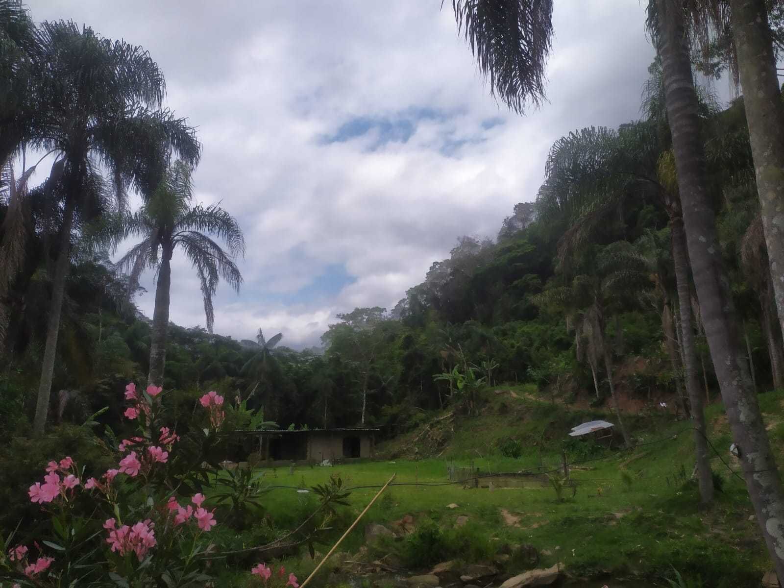 Chácara, 2 quartos, 100 m² - Foto 15