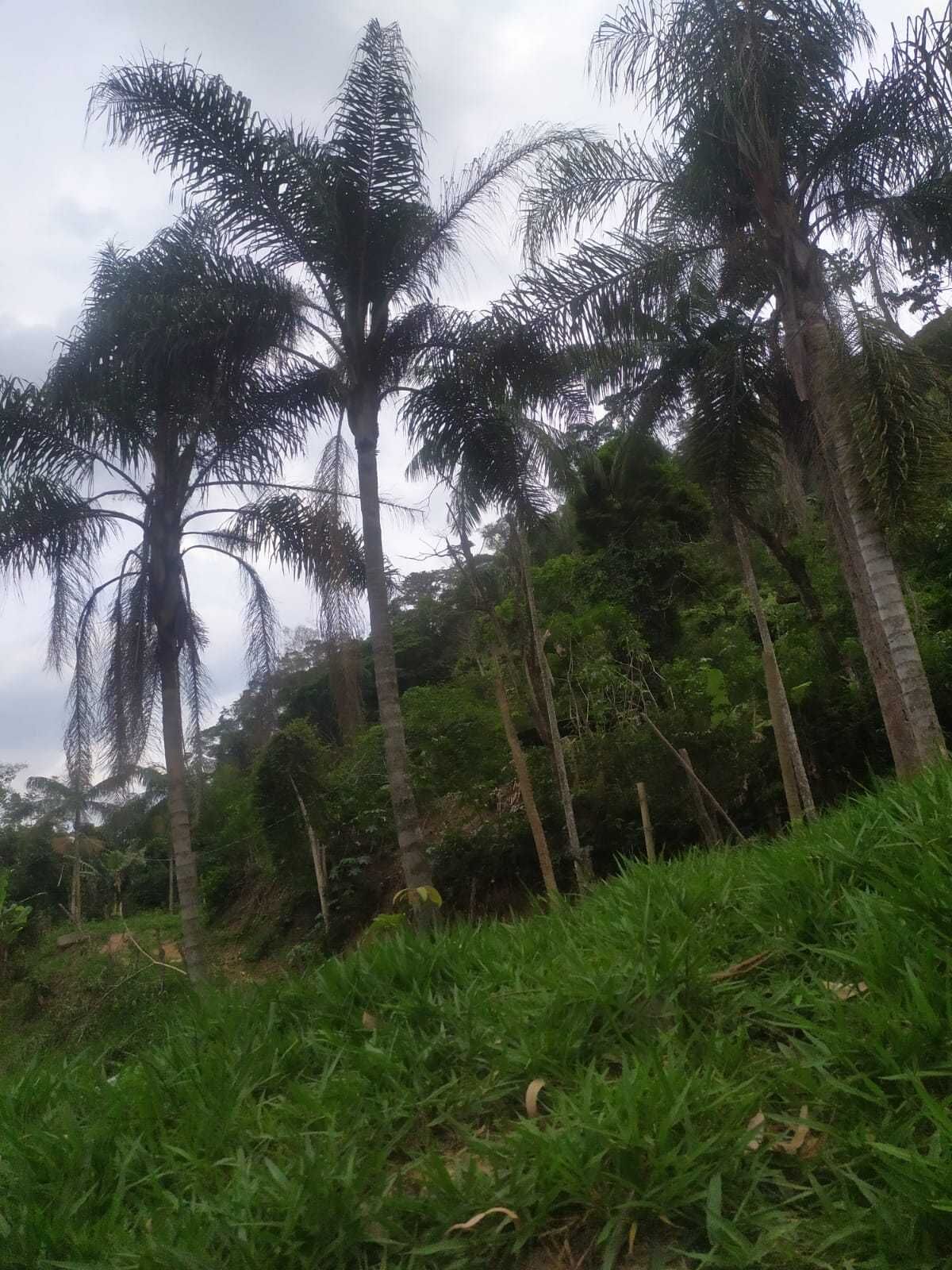 Chácara, 2 quartos, 100 m² - Foto 16