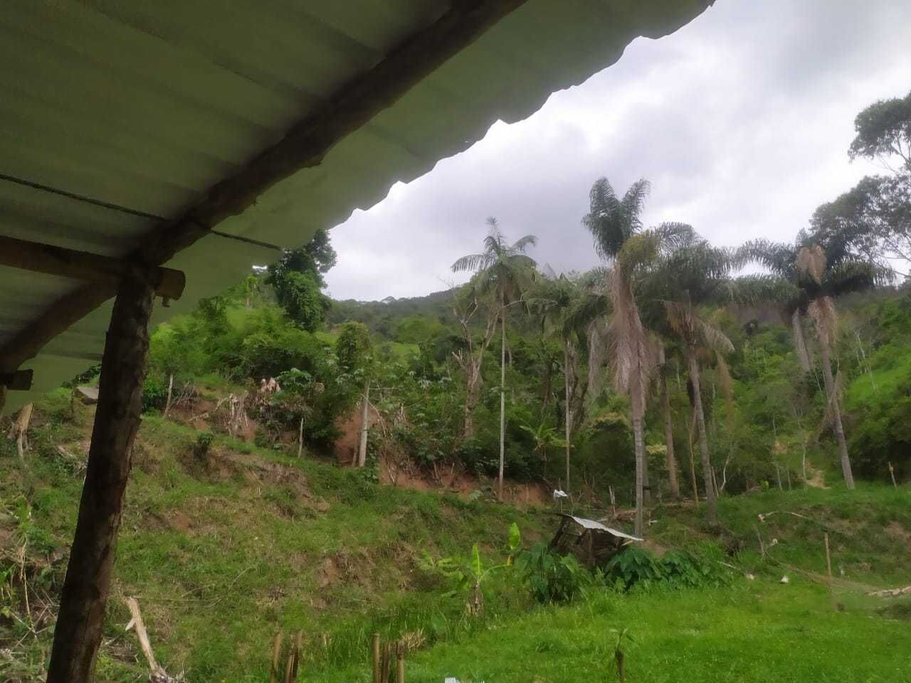 Chácara, 2 quartos, 100 m² - Foto 14