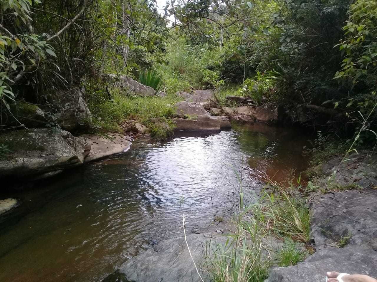 Chácara, 2 quartos, 100 m² - Foto 11