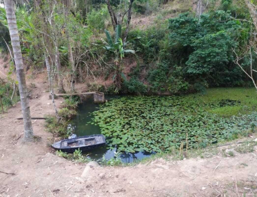 Chácara, 2 quartos, 100 m² - Foto 19