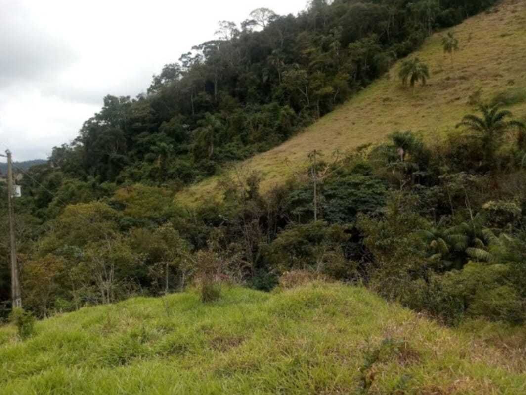 Chácara, 2 quartos, 100 m² - Foto 20