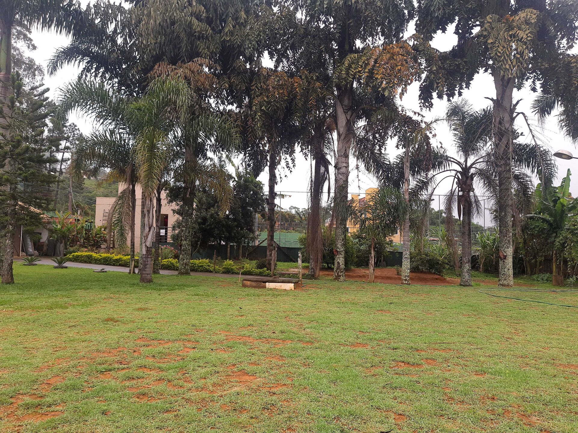 Sítio, 5000 m² - Foto 11