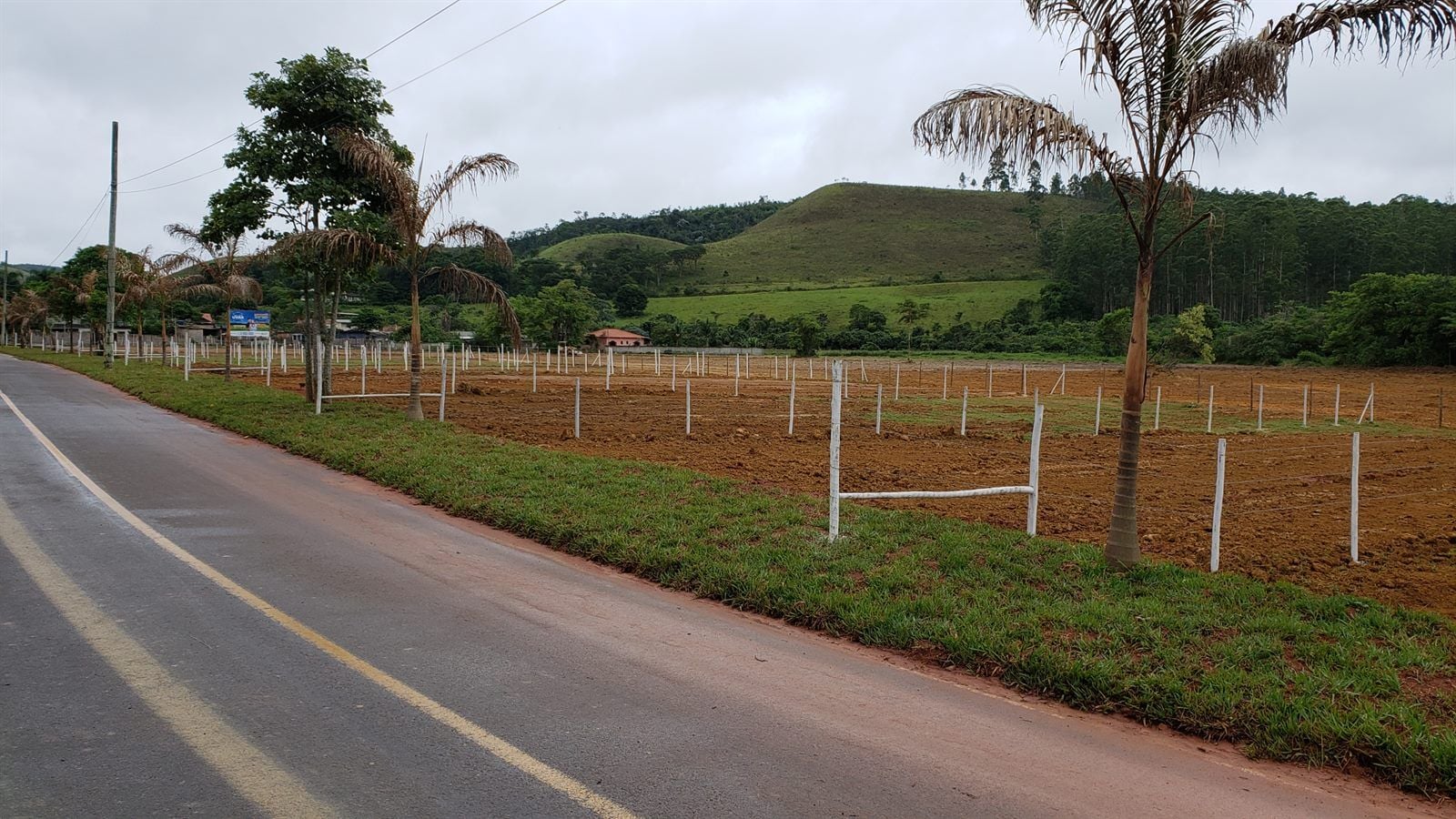 Terreno, 445 m² - Foto 6