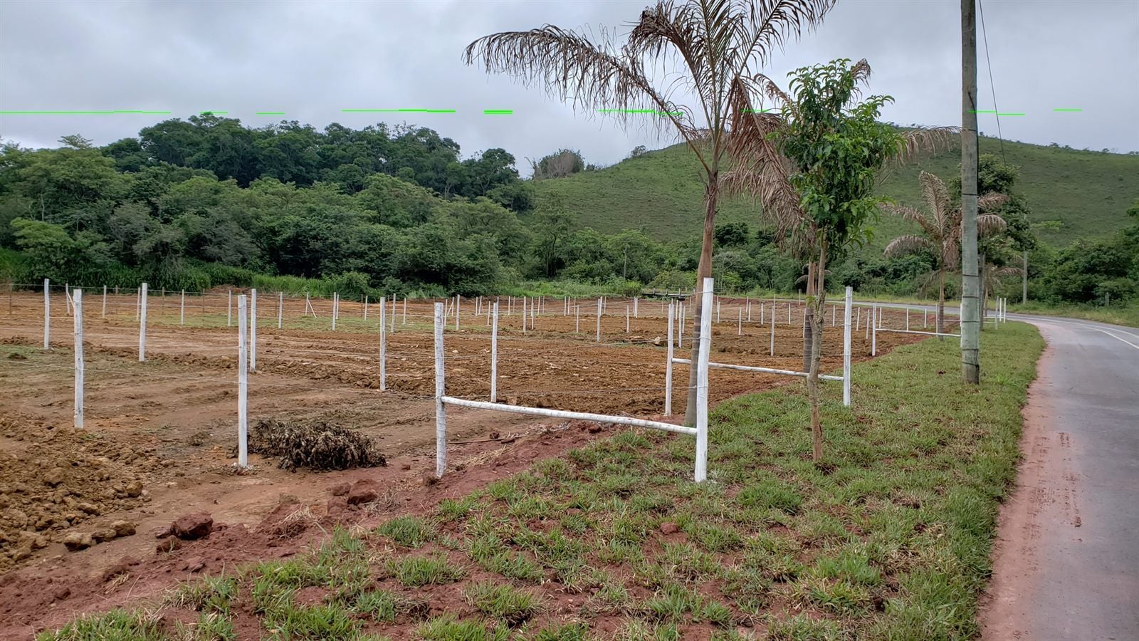 Terreno, 445 m² - Foto 5