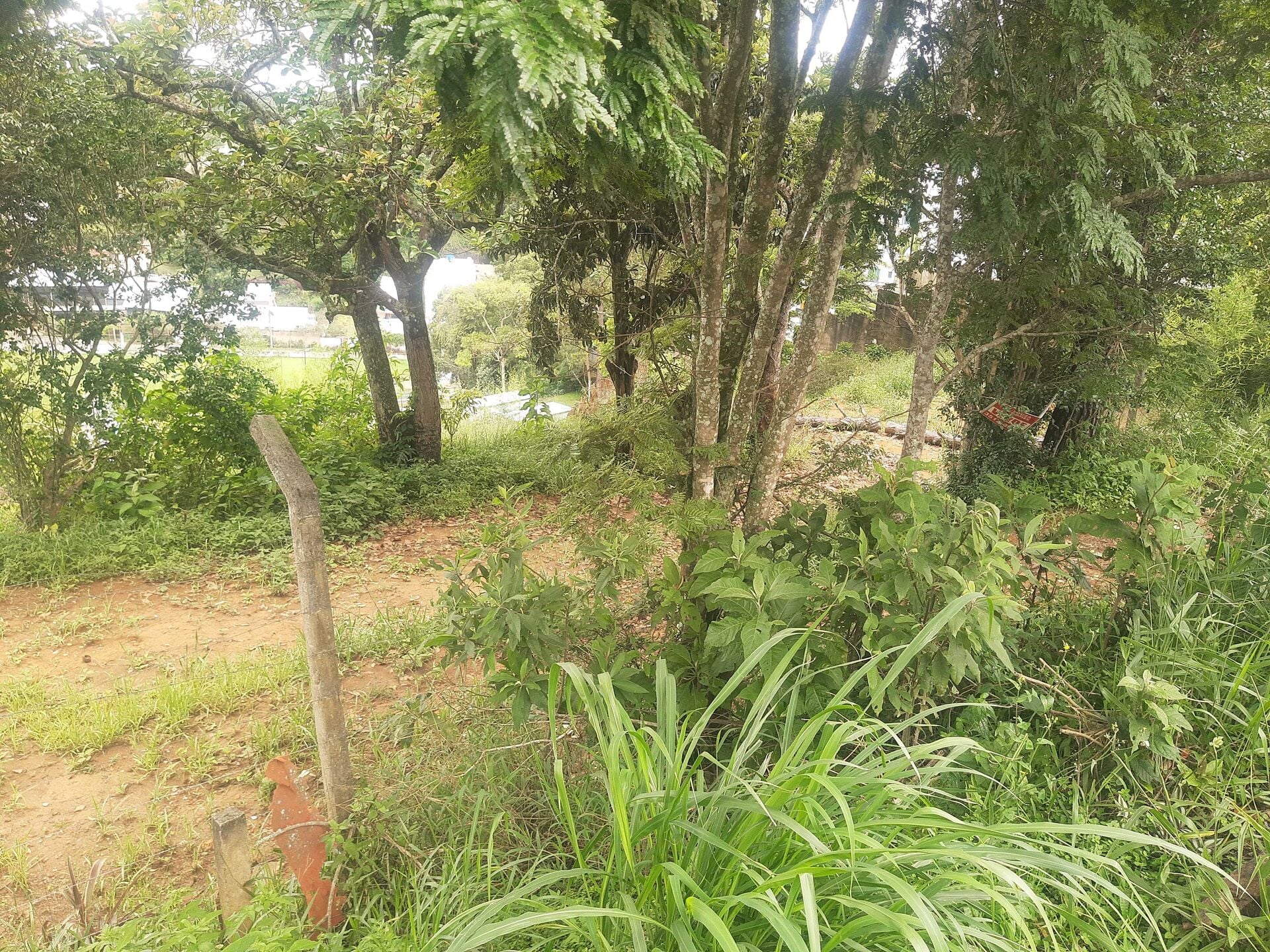 Terreno, 600 m² - Foto 5