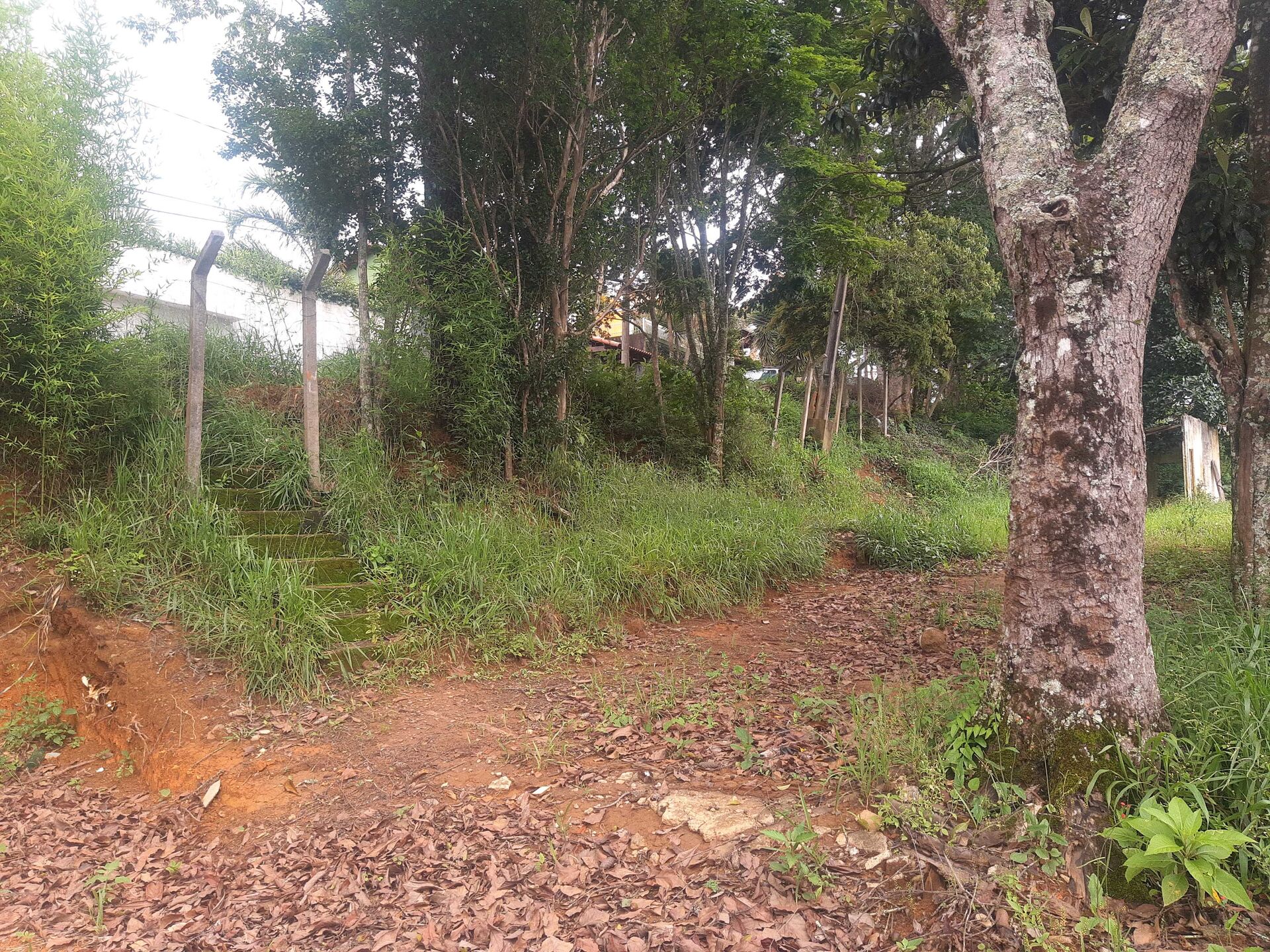 Terreno, 600 m² - Foto 13
