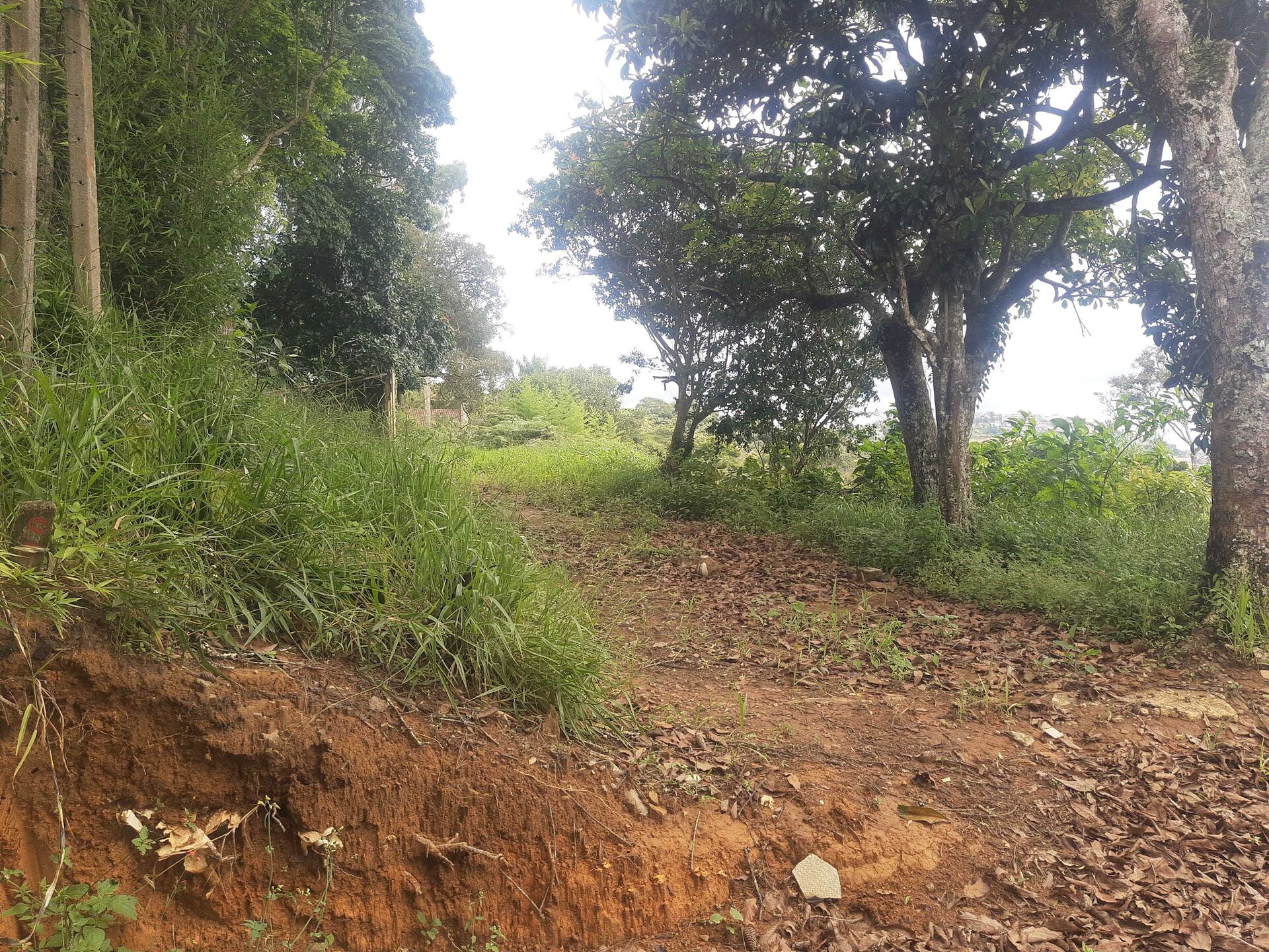 Terreno, 600 m² - Foto 12