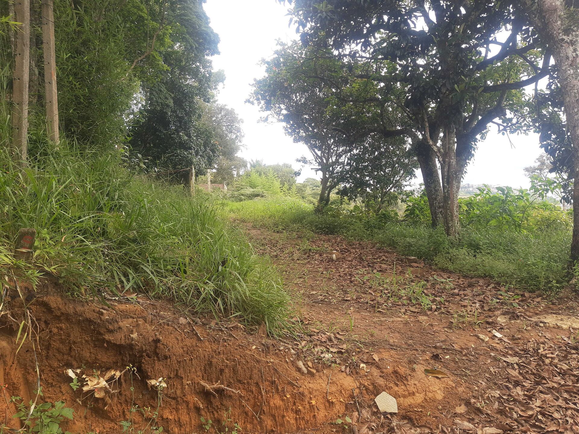 Terreno, 600 m² - Foto 11