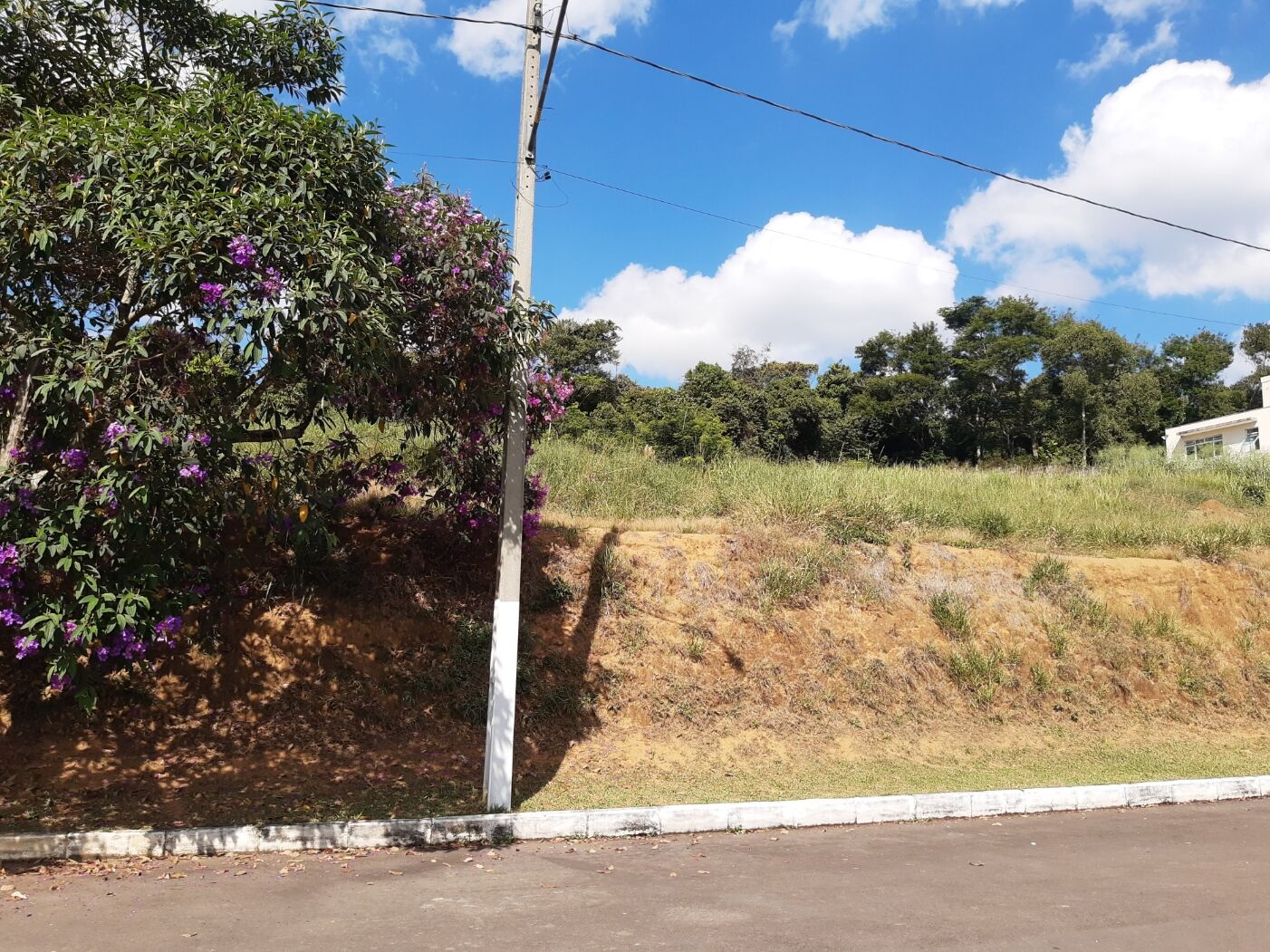 Terreno, 1286 m² - Foto 6