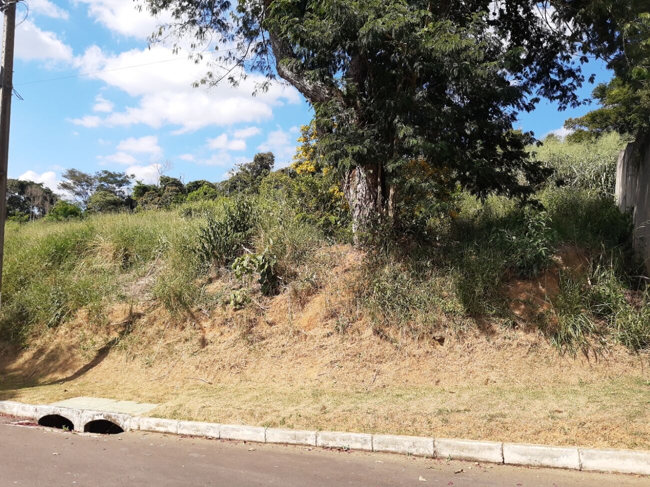 Terreno, 1286 m² - Foto 5