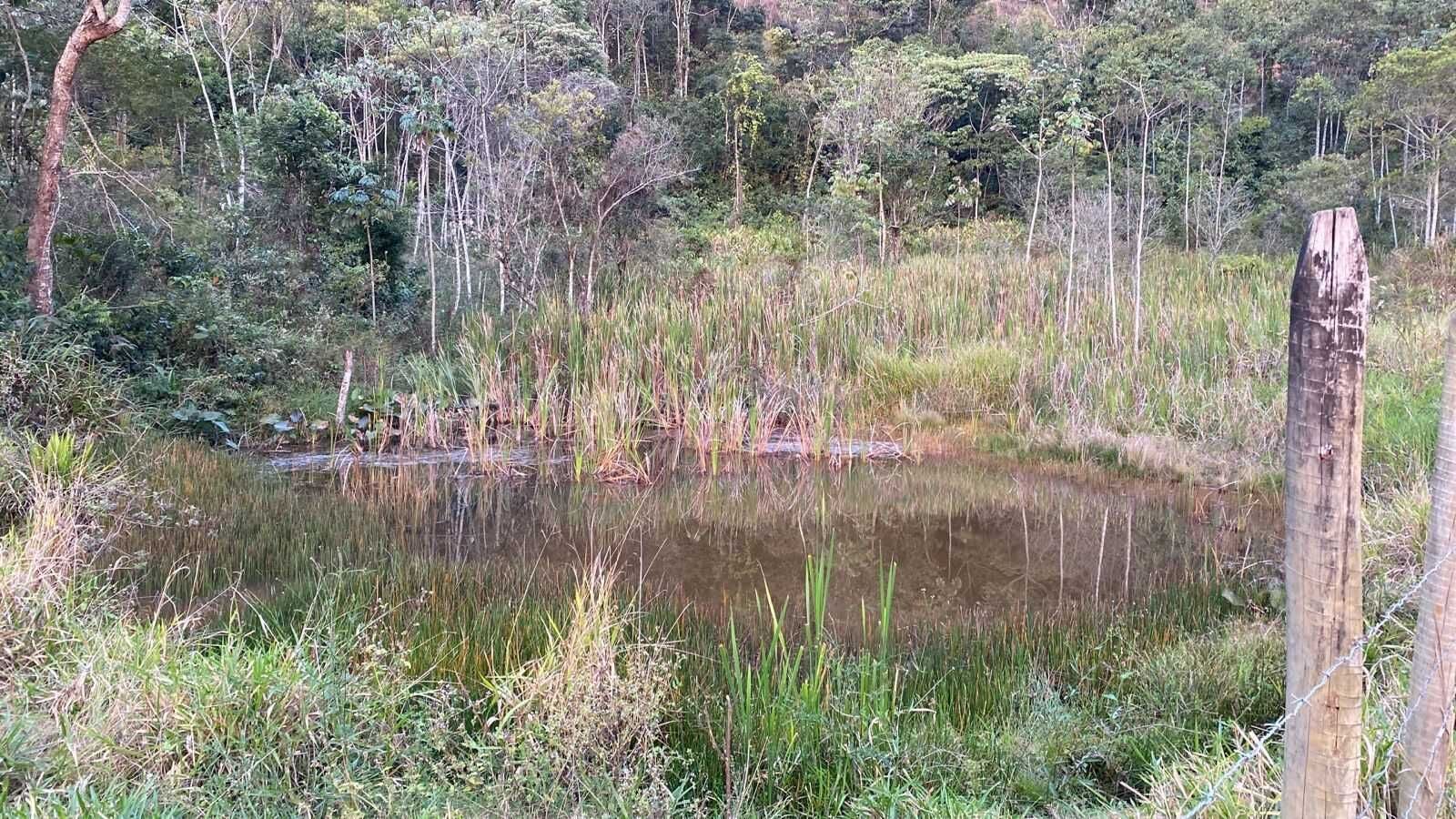 Sítio, 3 hectares - Foto 4